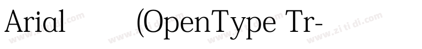 Arial 常规(OpenType Tr字体转换